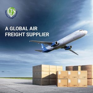 Egyptian Freight Services – Logistics & Shipping Experts